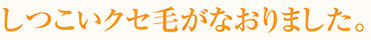 しつこいクセ毛がなおりました。