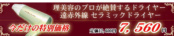 Ban-Yu(万雄)超低電磁波 遠赤外線セラミックドライヤー(DY-3600)